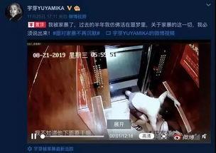 国产sm孕妇暴力视频 迅雷下载,迅雷下载背后的伦理争议