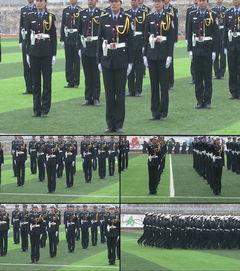 国产警察训练视频播放下载,国产警察实战训练视频下载解析