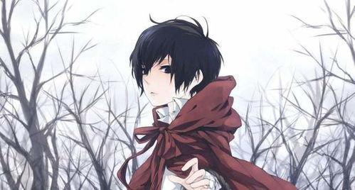 国产动漫解说男生帅气视频